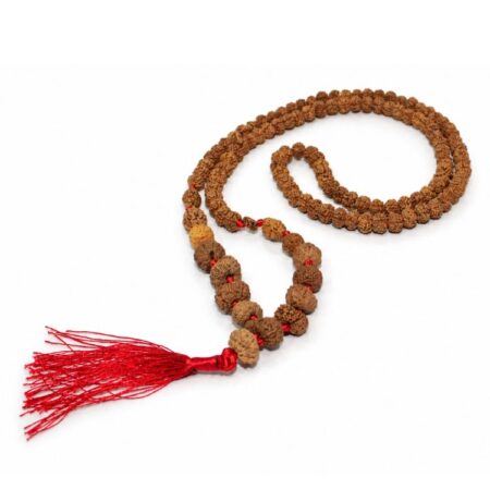 Siddh 1-14 Mukhi Rudraksha Mala with Lab Certificate