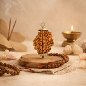 4 Mukhi Rudraksha / Four Face Rudraksha / Nepali Rudraksha with Certificate