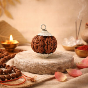 7 Mukhi Rudraksha / Seven Face Rudraksha / Nepali Rudraksha with Certificate
