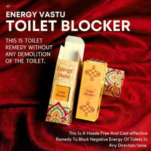 Remedywala Vastu Toilet Pacifier