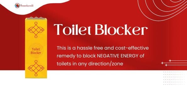 Remedywala Vastu Toilet Pacifier