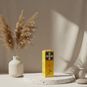 North-East Booster, Jal Booster, Ishan Booster for Vastu - Remedywala