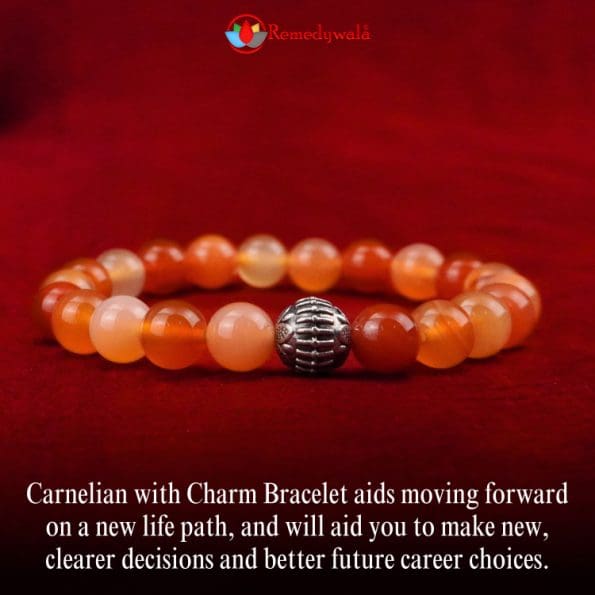 Carnelian with Charm Bracelet 8mm