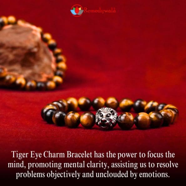 Tiger Eye with Charm Bracelet 8mm