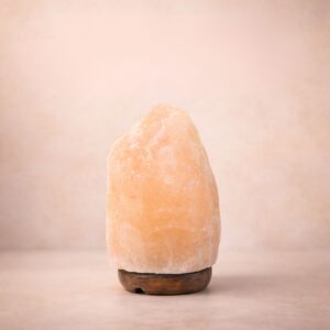 Natural Himalayan Rock Salt Crystal Lamp (2-3Kg)