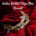 Golden Routiled Chips Bracelet