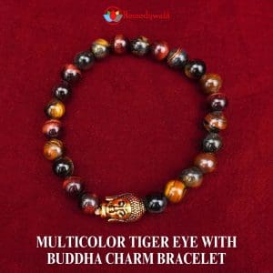 Multicolor Tiger Eye with Buddha Charm Bracelet