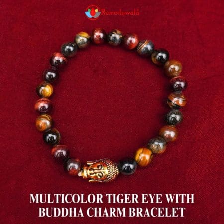 Multicolor Tiger Eye with Buddha Charm Bracelet