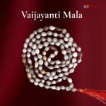 750 – Vaijayanti Mala (2)