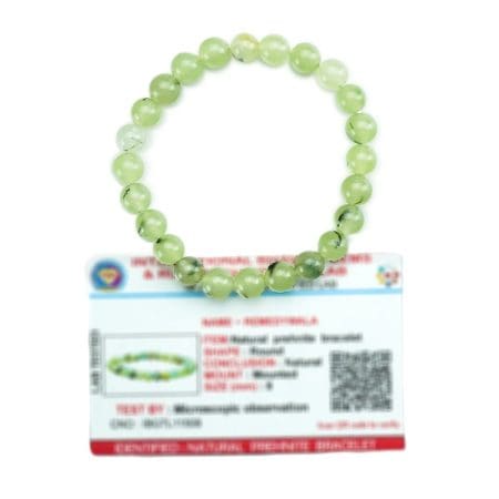 Prehnite Bracelet 8mm