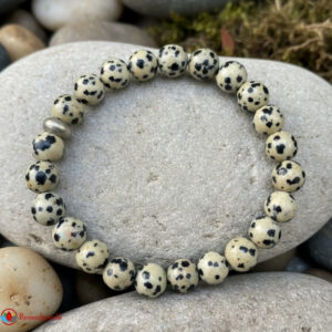 Dalmatian Jasper Bracelet 8mm
