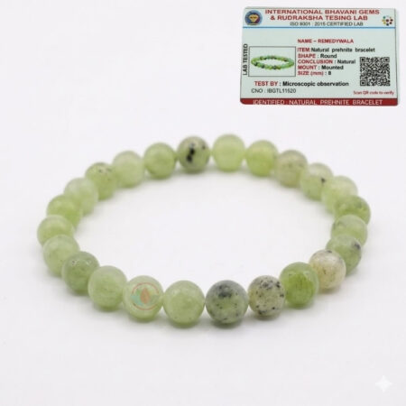 Prehnite Bracelet 8mm