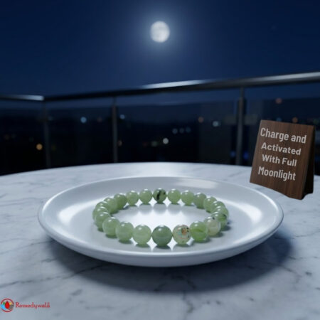 Prehnite Bracelet 8mm