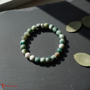 Tree Agate Bracelet 8mm