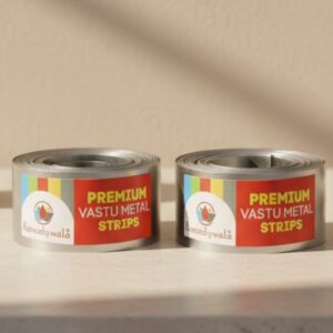 Stainless Steel and Iron Strip Combo (8 Feet 18mm Width, 0.2 mm Gauge, Stainless Steel, Iron, 2 Pieces)