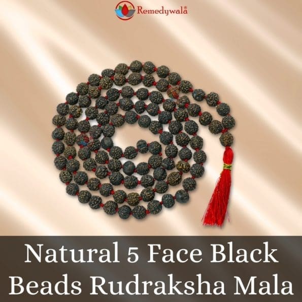 Natural 5 Face Black Beads Rudraksha Mala