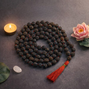 Black Beads 5 Mukhi Rudraksha Mala