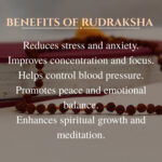 Rudraksha mala 3