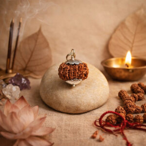 11 Mukhi Rudraksha / Eleven Face Rudraksha / Nepali Rudraksha with Certificate