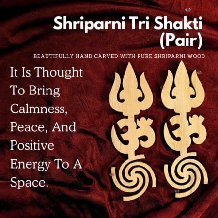 Shriparni Tri-Shakti (Trishul Om Swastik Round design) (Pair)