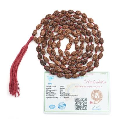 2 Mukhi Rudraksha Mala