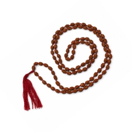 2 Mukhi Rudraksha Mala / Two Face Rudraksha Mala with Certificate