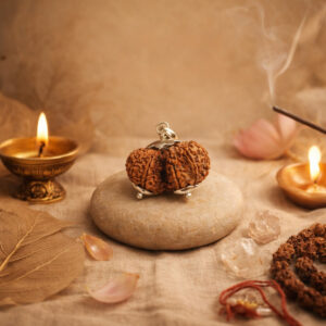 Garbh Gauri Rudraksha / Nepali Rudraksha with Certificate