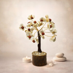 Gomti Chakra Tree 100 Beads