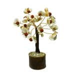 Gomti Chakra Tree 100 Beads
