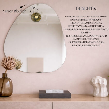 Mirror Blocker