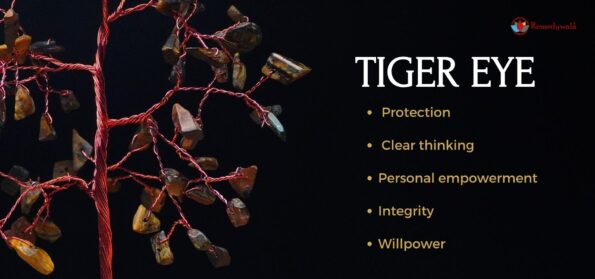 Tiger Eye Tree