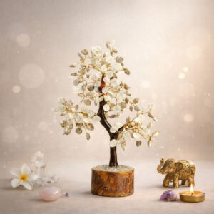 Gomti Chakra Tree 200 Beads