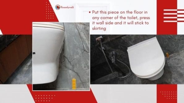 Remedywala Vastu Toilet Pacifier