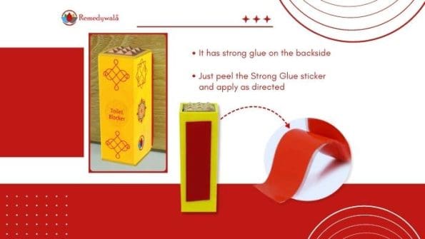 Remedywala Vastu Toilet Pacifier
