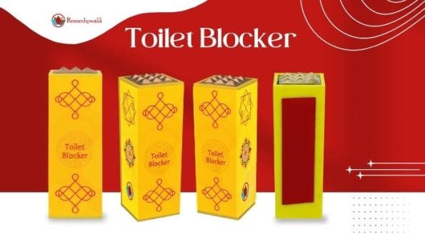 Remedywala Vastu Toilet Pacifier
