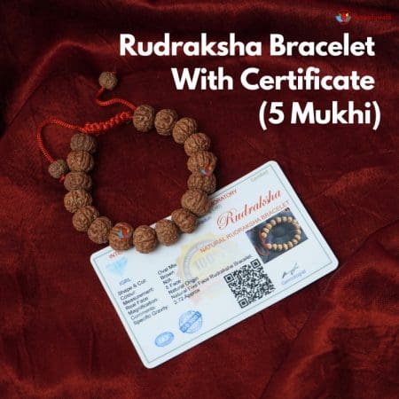 Buy Trideva Blessings Narayana Bracelet/ 10 Mukhi Rudraksha Bracelet/Ten  Face Rudraksha Bracelet - Made in Pure Silver Online at Low Prices in India  - Amazon.in