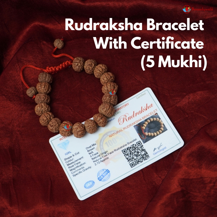 3 MUKHI RUDRAKSHA THREE FACED RUDRAKSH BRACELET WRIST BAND  ENERGIZED~CERTIFIED | eBay