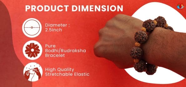 5 Mukhi Big and Small Rudraksha Bracelet