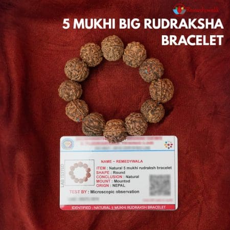 5 Mukhi Big Rudraksha Bracelet
