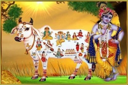 Gau Mata Aarti