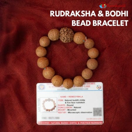 3 Line Superior Quality Graceful Design Gold Plated Rudraksha Bracelet -  Style B772 – Soni Fashion®