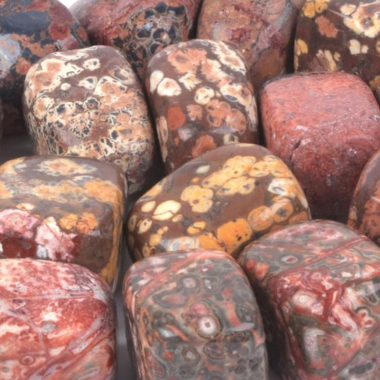 Leopardskin Jasper