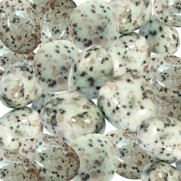 Kiwi Jasper