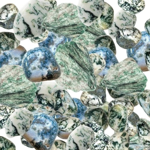 Tree Agate