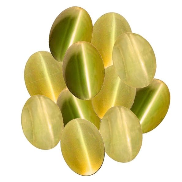 yellow cats eye