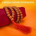 5 Mukhi Pathri Rudraksha Mala