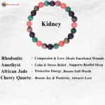 Kidney Bracelet