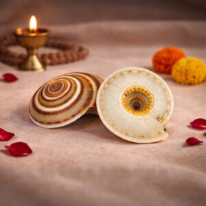 Sri Vishnu Sudarshana Chakra Shankh