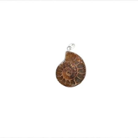 Ammonite Pendant