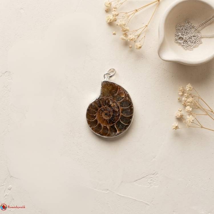 Ammonite Pendant